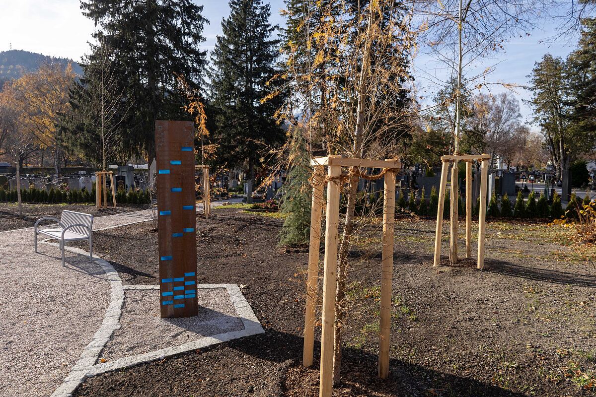 251124_baumgrab_3_fb