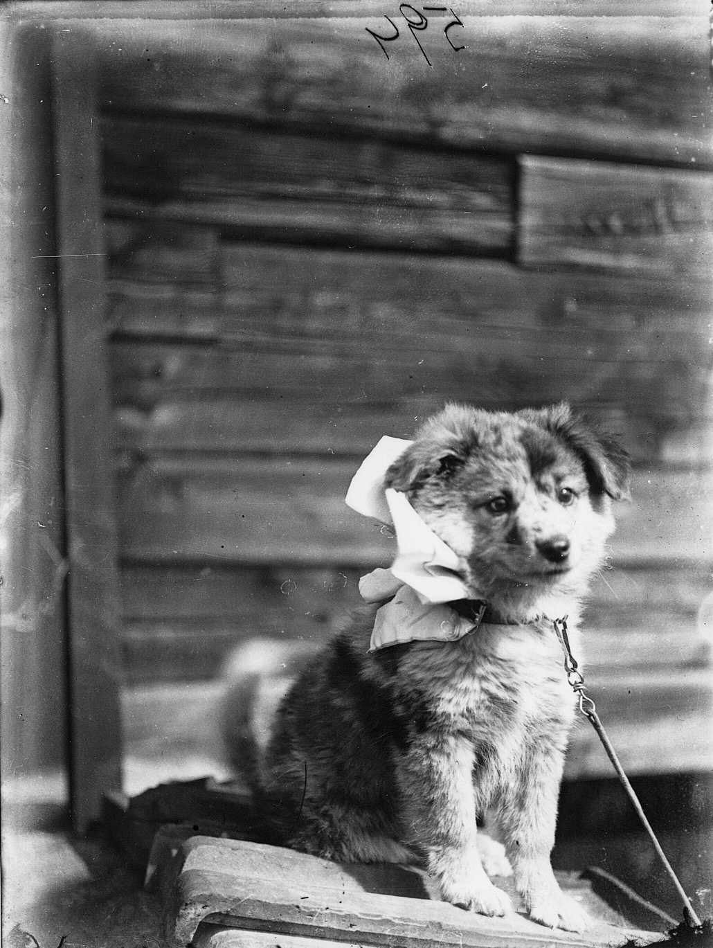 60_61_100-jahre_maerz_bild-3