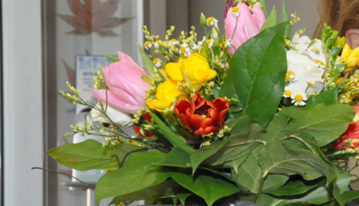 040216_blumen