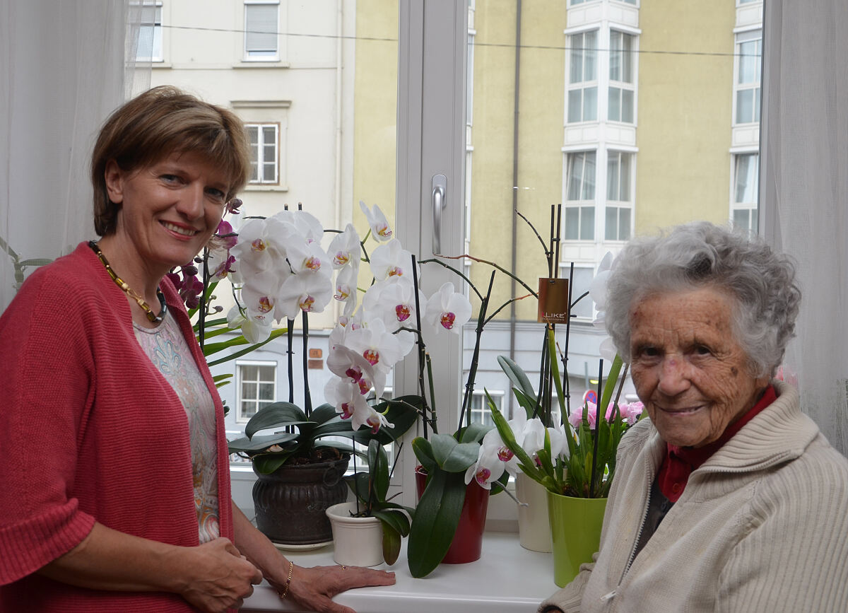 100816_101_elsaroilo2_dh