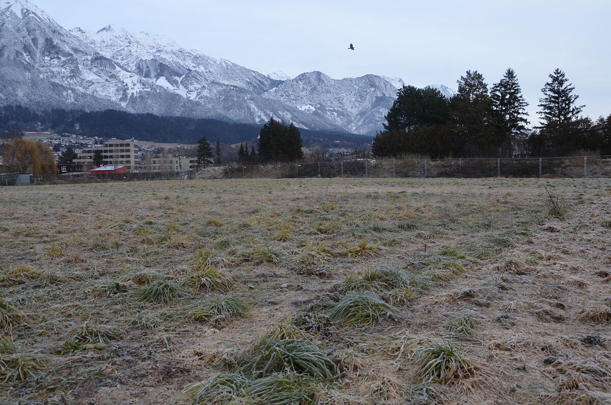 250416_buergerinnenforum-campagne-areal