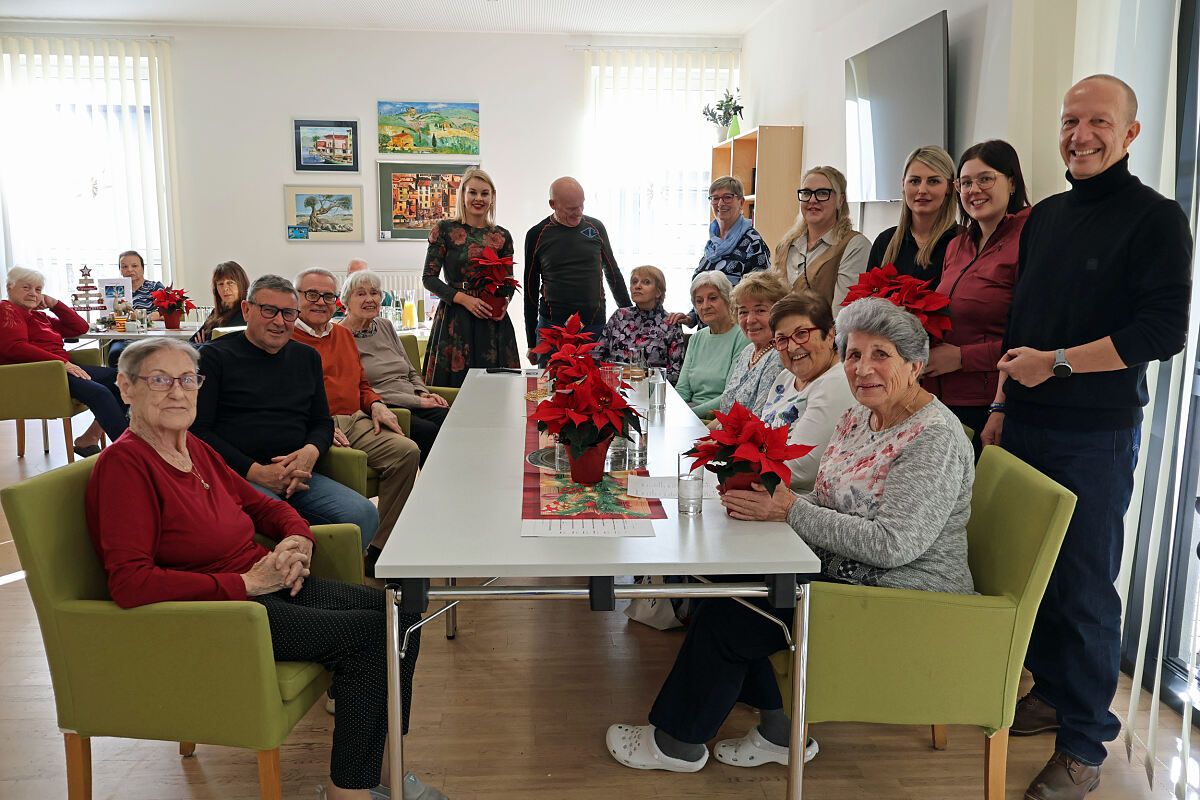 251203_weihnachtssterne_o3_md1